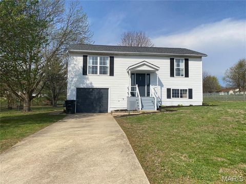 Photo of 6252 Yellow Brick Road, Washington, MO 63090 (MLS # 26018724)