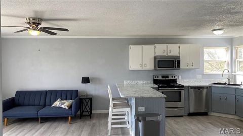 Tiny photo for 6252 Yellow Brick Road, Washington, MO 63090 (MLS # 26018724)