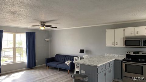 Tiny photo for 6252 Yellow Brick Road, Washington, MO 63090 (MLS # 26018724)