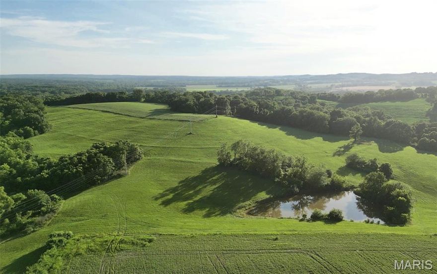 Nestled in the rolling countryside of scenic Pike County, this 115.6-acre property offers a blend of natural beauty, agricultural potential, and historic charm. Located in the heart of Buffalo Township this land offers a view of Buffalo Knob, one of the region’s prominent landmarks.—named alongside nearby Buffalo Creek after the wild buffalo that once roamed the area.
The land is a versatile mix of productive crop ground, pasture, and mature wooded areas, making it ideal for a variety of uses including farming, cattle or horse operations, hay production, hunting, and recreation. Potential homesites provide an opportunity to build your dream home with panoramic views of the surrounding hills and valleys.
Adding to the property’s appeal is a year-round, active spring—a local treasure where community members once came to gather fresh water. Water resources are further enhanced by two established ponds, measuring just under 1/2 acre and just under 3/4 acre in size, perfect for livestock or fishing. A third pond site is in place and ready to be excavated to suit your needs. Close to Two Rivers Marina & Mississippi River for boating/fishing. Easy drive from St. Louis, Hannibal, & Quincy, IL.

Whether you're looking to expand your ag operation, establish a country retreat, or invest in a multi-use parcel with deep roots and scenic charm, this tract delivers unmatched potential.