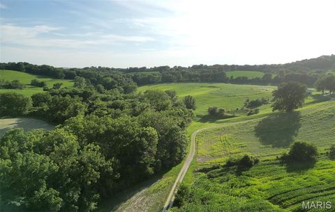 Tiny photo for 117 Hwy 79, Unincorporated, MO 63353 (MLS # 26001352)