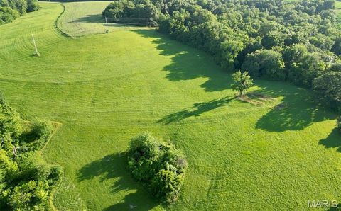 Tiny photo for 117 Hwy 79, Unincorporated, MO 63353 (MLS # 26001352)