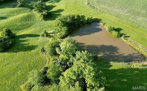 Tiny photo for 117 Hwy 79, Unincorporated, MO 63353 (MLS # 26001352)