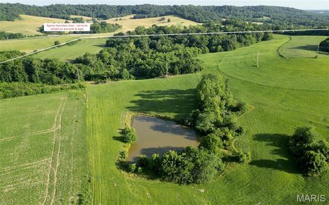 Tiny photo for 117 Hwy 79, Unincorporated, MO 63353 (MLS # 26001352)