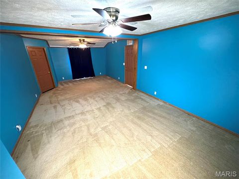 Tiny photo for 29766 Old Highway 61, La Grange, MO 63448 (MLS # 26046914)