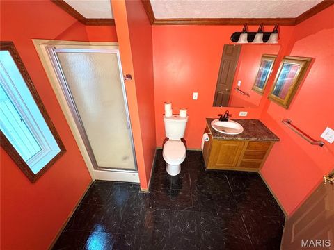 Tiny photo for 29766 Old Highway 61, La Grange, MO 63448 (MLS # 26046914)