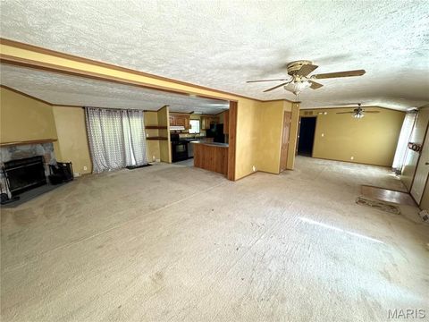 Tiny photo for 29766 Old Highway 61, La Grange, MO 63448 (MLS # 26046914)
