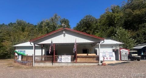 3573 Lake Road 418 Piedmont MO 63957