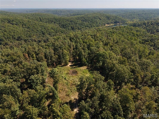COLDWATER CREEK RD, FREDERICKTOWN, MO 63645 - Image cc1325679b4e3469a4332fcaec830aec/1067917958