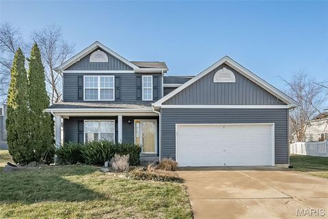 Photo of 130 Burnt Oak Court, Wentzville, MO 63385 (MLS # 26000334)