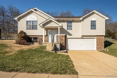 3263 Rosedale Drive Arnold MO 63010
