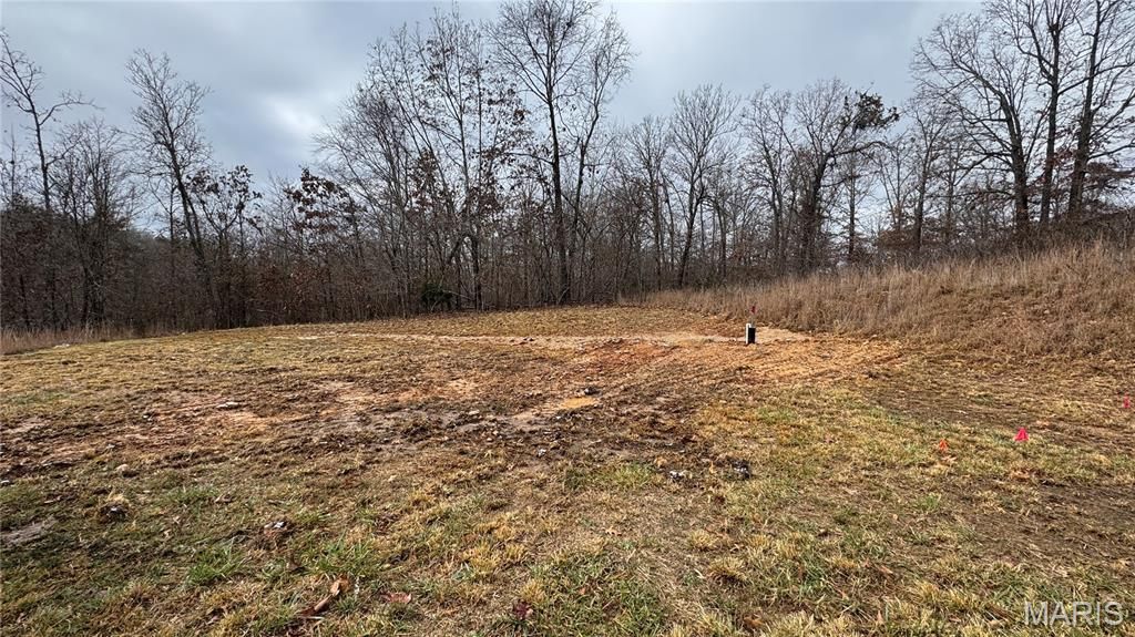 Photo of 175 Hodge Drive, Doniphan, MO 63935 (MLS # 25079282)