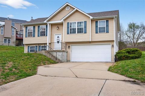 Tiny photo for 38 Shady Tree Court, Winfield, MO 63389 (MLS # 26019347)