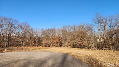 Photo of 8 Summers Breeze Court, Hawk Point, MO 63349 (MLS # 26004375)