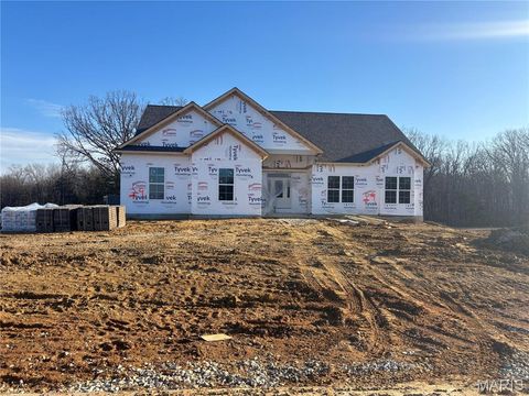 Photo of 308 Schaper Estates Xing, Foristell, MO 63348 (MLS # 25081253)