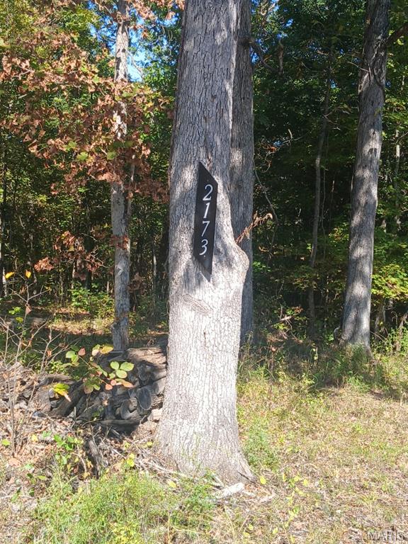 Photo 1 of 13 — 2173 Big River Trail, De Soto, MO 63020