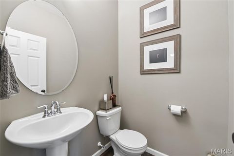 Tiny photo for 1163 Crystal Creek Parkway, Wentzville, MO 63385 (MLS # 26021687)