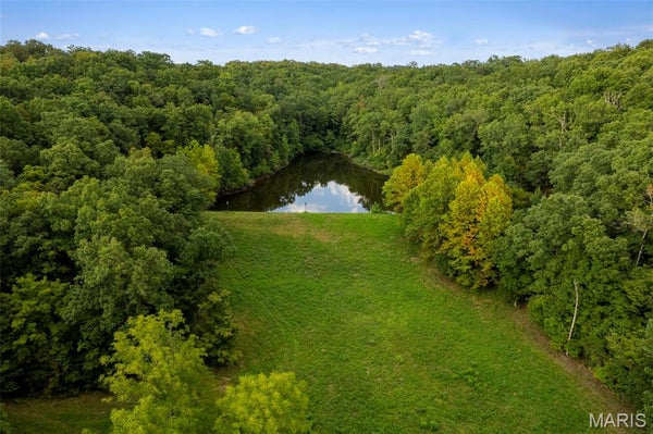 1 WAYNE ST, WILLIAMSVILLE, MO 63967 - Image ccfcb22ef7fa515a0dc326e34edc2b6c/3469865536