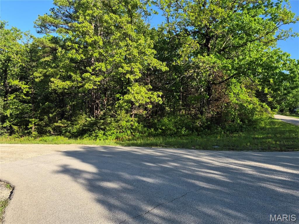 Photo of 0 Rue Chambly, Bonne Terre, MO 63628 (MLS # 26026146)
