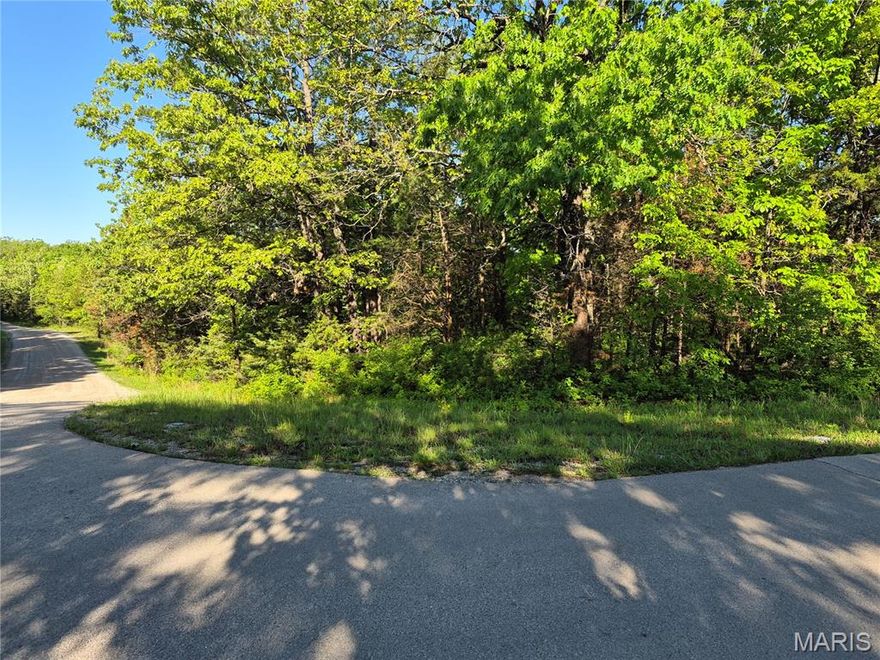 Great buildable lot in the private community of Terre Du Lac. Ideal for walkout basement construction or just enjoy the natural lot.  Located in the heart of the community , near gas station, resturaunt, and and lakes.  Utilities nearby.  Build your plan.