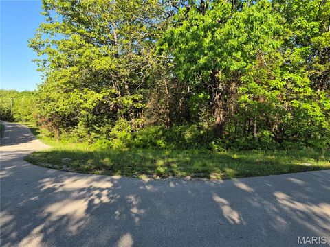 Photo of 0 Rue Chambly, Bonne Terre, MO 63628 (MLS # 26026146)