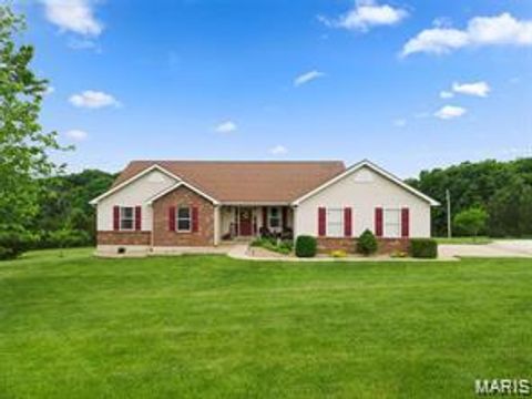 Photo of 157 Denise Court, Troy, MO 63379 (MLS # 26012438)