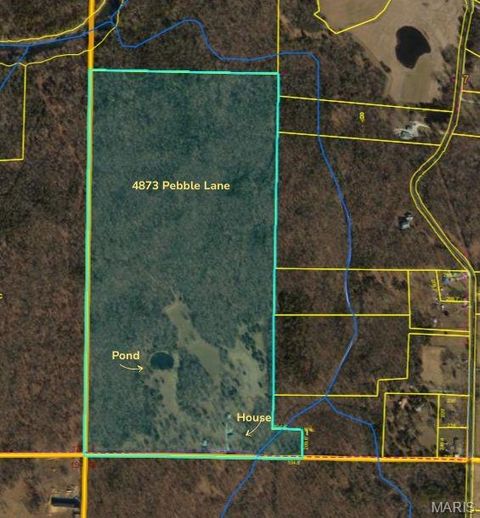 4873 Pebble Lane Farmington MO 63640