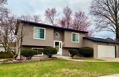 1954 Tealwood Cove Drive Florissant MO 63031