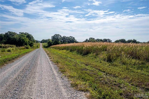 Tiny photo for 00 Pike 451, Curryville, MO 63339 (MLS # 26062095)