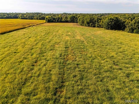 Tiny photo for 00 Pike 451, Curryville, MO 63339 (MLS # 26062095)