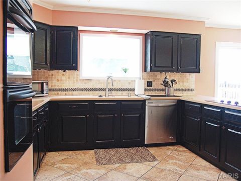 Tiny photo for 850 Ivy Trace Trce, Ballwin, MO 63021 (MLS # 26025240)