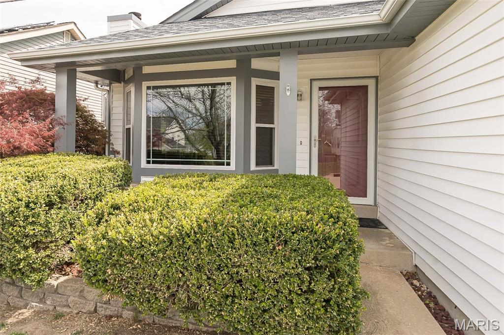 Autumn Chase #2 - Residential