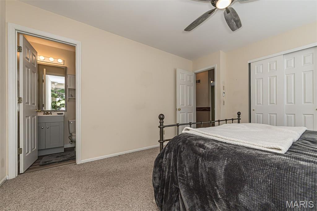 Autumn Chase #2 - Residential