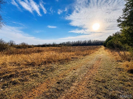 2556 BIRCH ST, DOE RUN, MO 63637 - Image cdda83ebfd861ac36cd4c2b6ca34c24c/210827263
