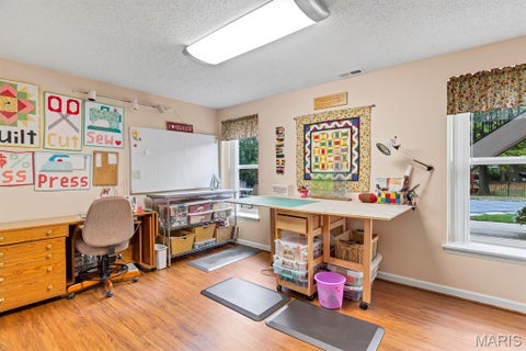 Tiny photo for 163 Bright Gem Drive, St Charles, MO 63304 (MLS # 26069124)