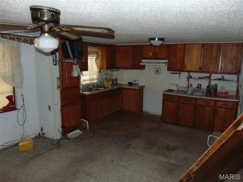 Tiny photo for 8165 US Highway 160 East, Fairdealing, MO 63939 (MLS # 26030109)