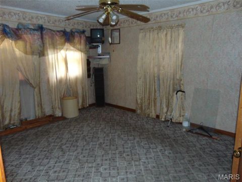 Tiny photo for 8165 US Highway 160 East, Fairdealing, MO 63939 (MLS # 26030109)
