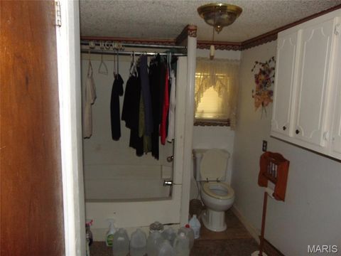 Tiny photo for 8165 US Highway 160 East, Fairdealing, MO 63939 (MLS # 26030109)
