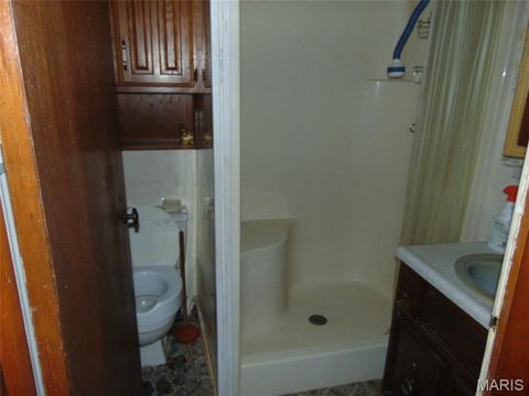 Tiny photo for 8165 US Highway 160 East, Fairdealing, MO 63939 (MLS # 26030109)
