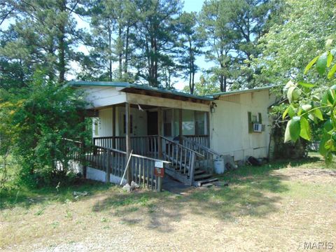 Photo of 8165 US Highway 160 East, Fairdealing, MO 63939 (MLS # 26030109)