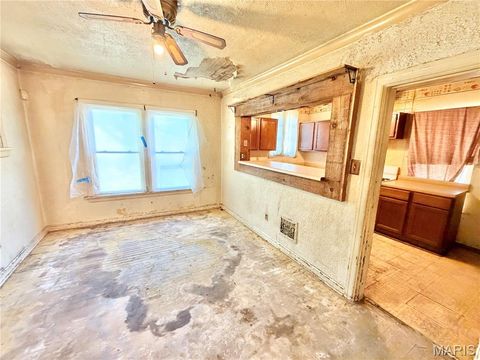 Tiny photo for 4323 Bingham Avenue, St Louis, MO 63116 (MLS # 26030039)