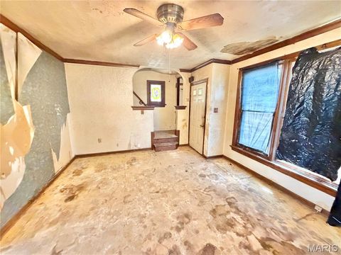Tiny photo for 4323 Bingham Avenue, St Louis, MO 63116 (MLS # 26030039)
