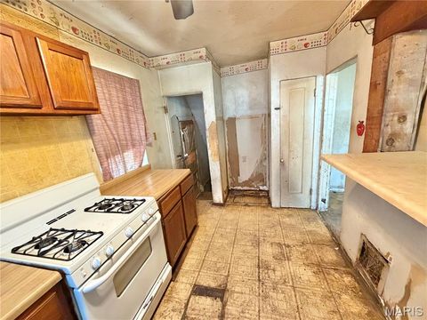 Tiny photo for 4323 Bingham Avenue, St Louis, MO 63116 (MLS # 26030039)