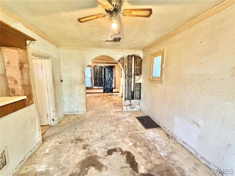 Tiny photo for 4323 Bingham Avenue, St Louis, MO 63116 (MLS # 26030039)