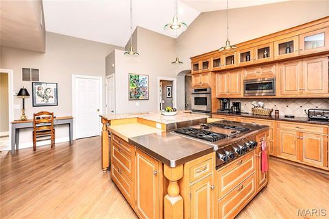 Tiny photo for 28 Ladue Meadows Meadows, Creve Coeur, MO 63141 (MLS # 25071835)