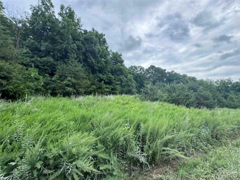 Photo of 0 Walnut Street Place, New London, MO 63459 (MLS # 26044142)