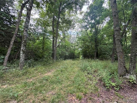 Tiny photo for 0 Walnut Street Place, New London, MO 63459 (MLS # 26044142)