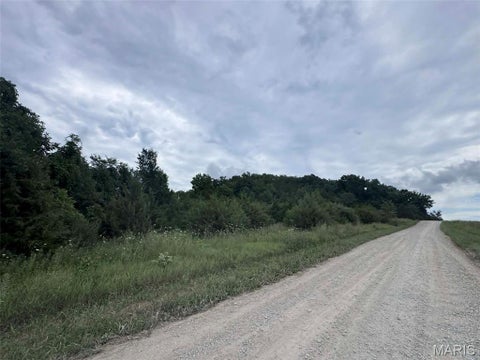 Tiny photo for 0 Walnut Street Place, New London, MO 63459 (MLS # 26044142)