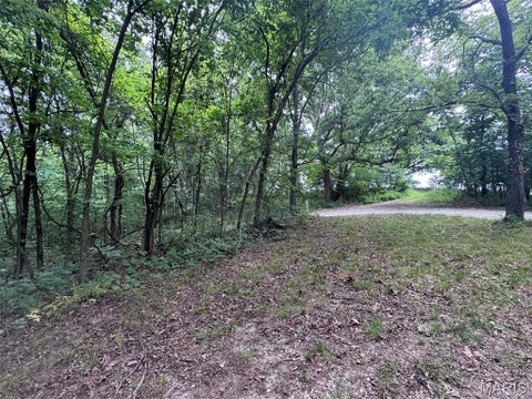 Tiny photo for 0 Walnut Street Place, New London, MO 63459 (MLS # 26044142)
