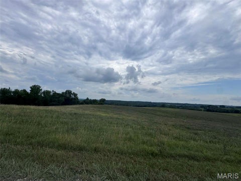 Tiny photo for 0 Walnut Street Place, New London, MO 63459 (MLS # 26044142)
